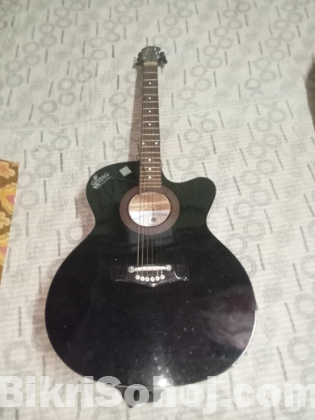 অরিজিনাল হালদার এন্টারপ্রাইজের Signature গিটার